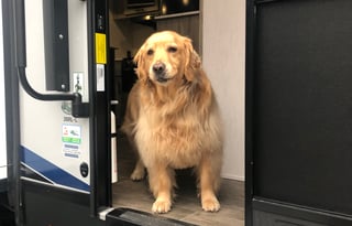 DRL Rentals "Pinetree Retreat"