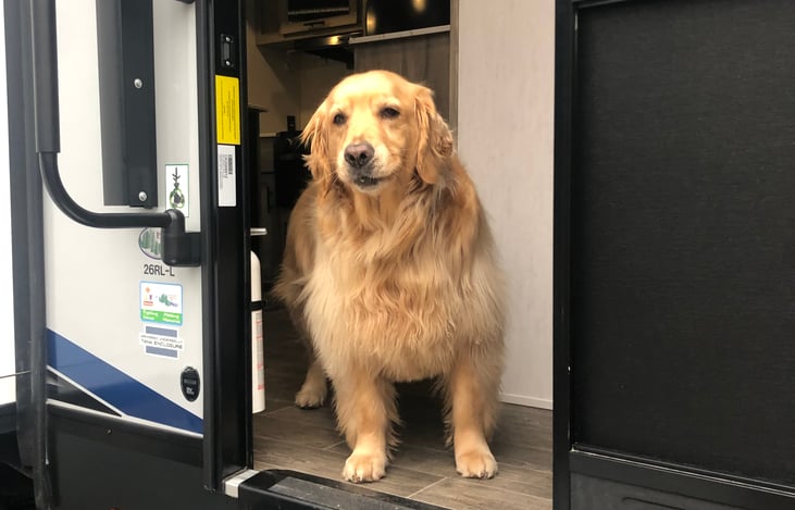 Dog friendly! Up to 2 dogs welcome for a low daily fee! Choose our pet add on option