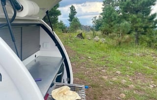 The Lima Bean Teardrop