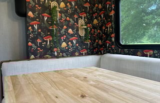 Boho Cozy RV - 2024 Wolf Pup