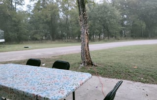 Pack Your Bags &  Grab the Grub We're Ready to Go!