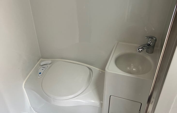 Wet toilet with shower
