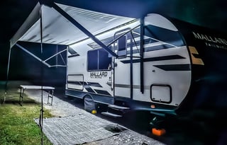 Peace of Mind Mallard Tailwind