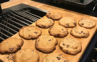 Guinevere Rose - The 2020 Ram Promaster