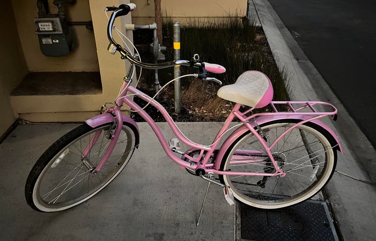 Optional Add on of Schwinn Perla Adult Bike, 18-inch Step-Through Steel Frame, 26-in Wheels, 7-Speed Twist Shifters, Rear Rack