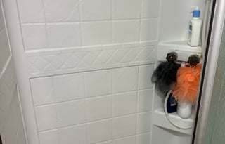 2019 Sunseeker by Forest River 3050S