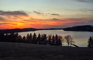 The Bunkhouse Bloom RV