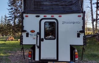 Pack-n-Play Palomino