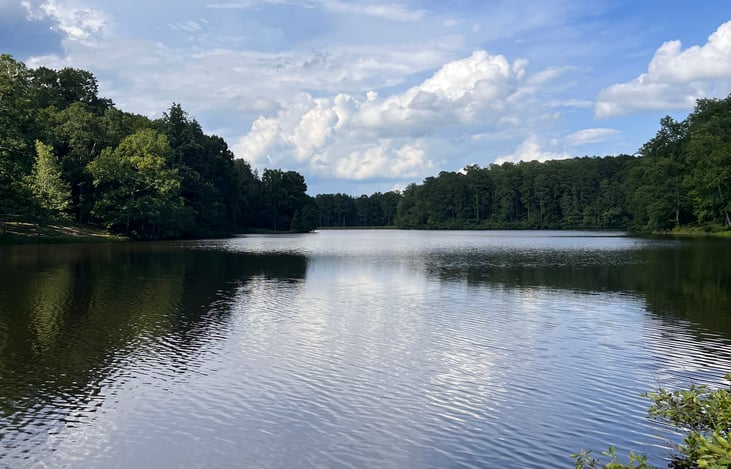 Pic from our recent trip to Wildersville, TN to Natchez Trace State Park!