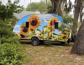 Forest River RV R Pod RP-177