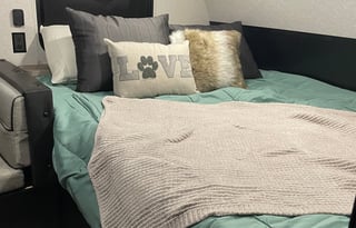 2022 Forest River Cherokee Wolf Pup Black 16BHSBL