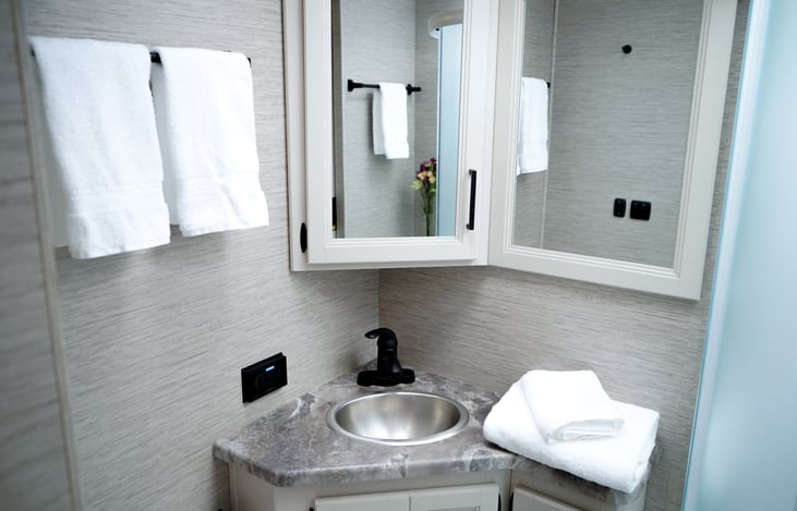 bull bathroom, sink, toilet and shower