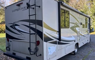 2016 Coachmen RV Leprechaun 319DS Ford 450