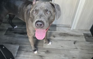 Roberts 2021 Keystone Montana Couples