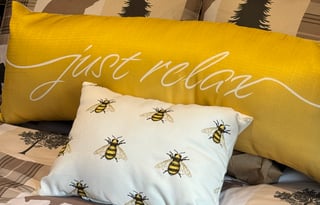 The Price is Right! *Fun, Family and Dog Friendly*