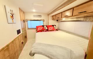 Luna the Leprechaun -2021 Coachmen RV Leprechaun