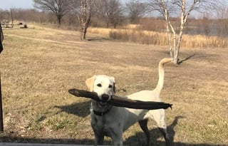 Towable Family Adventure