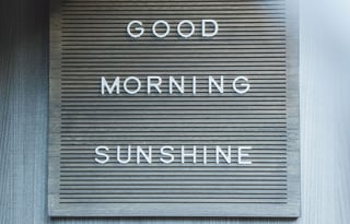 May The Forest Be With You and Your Pet! Sleeps 4!