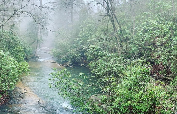 Cloudland Canyon hike