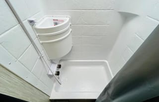 "Camping in the Forrest" River Cherokee Wolf Pup