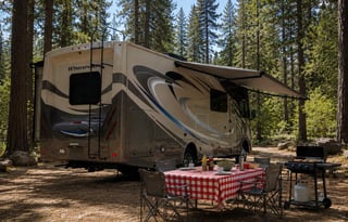 Perfect 2019 Thor Windsport 29M with standard DL