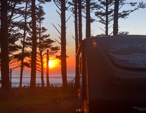 Forest River RV Surveyor 295QBLE