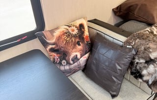 Say "Hello" to Evie!