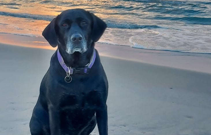 But MOM, I want to Swim!!