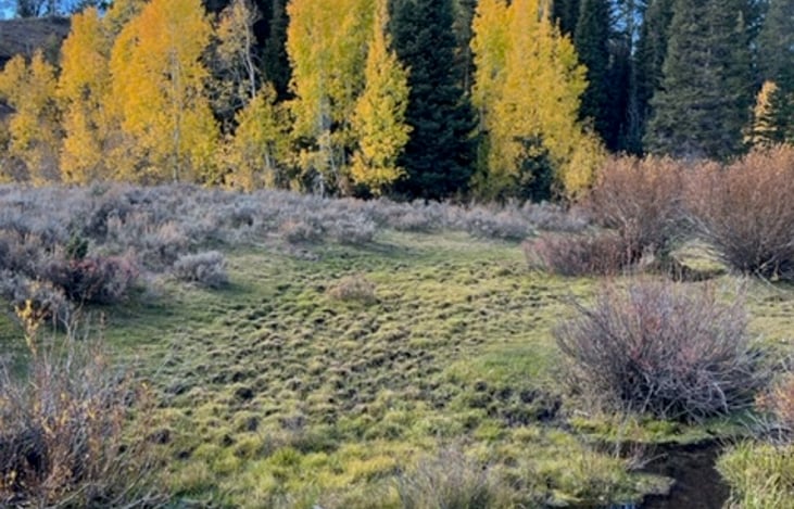 Enjoy fresh air and beautiful  views.