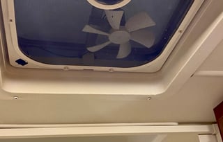 Sugarbear 4 -Cute & Easy to drive!