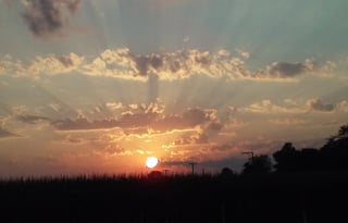 4WD All-Season "Judy" UNLIMITED MILES + Starlink