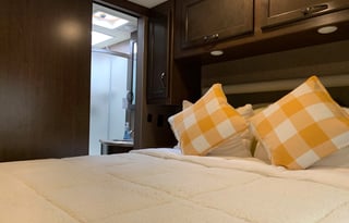 2019 Thor Motor Coach ACE 30.2