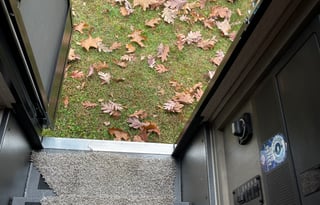 2023 Coachmen RV Freelander 26DS Ford 450