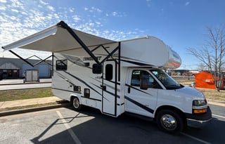 Bonnie the Sugarbear - 2024 Gulf Stream