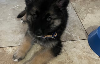 class A with bunk beds !