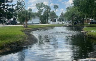 Aventure Awaits!! Cherokee Alfa Wolf Rental