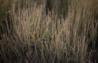 "Jett" - 2019 High Camp Teardrop