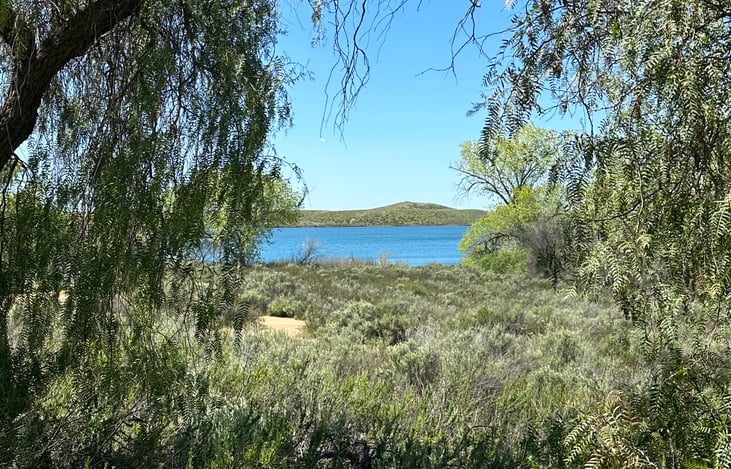 Incredible peek-a-boo views of Lake Skinner!