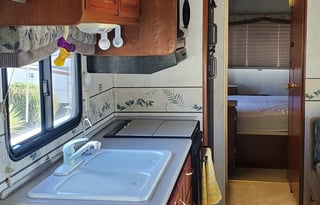 2002 Fleetwood RV Bounder 31W