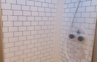 2010 Forest River RV Lexington 295DS