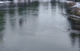 2018 Dutchmen RV Aspen Trail 3010BHDS