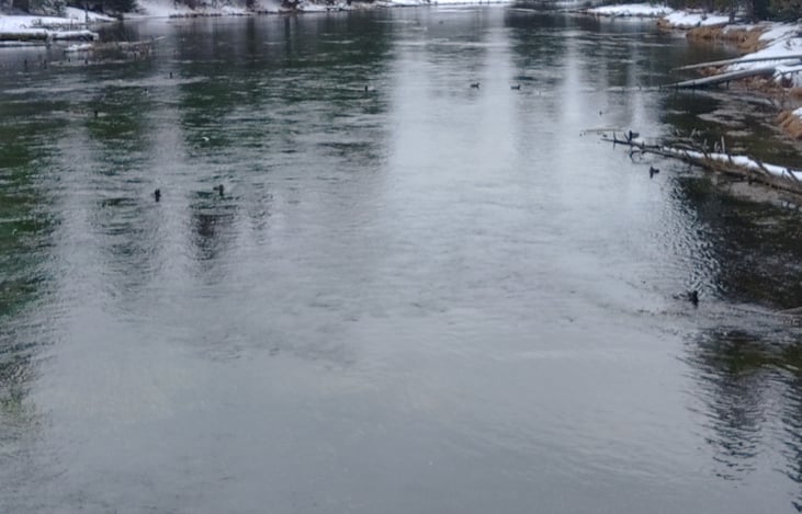 Fish bridge at Johnny Sack's cabin