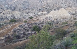 2015  Windsport  Coachella/ Stage Coach events OK