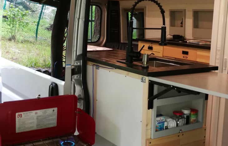 Outdoor cooking with gas stove and built-in propane tank