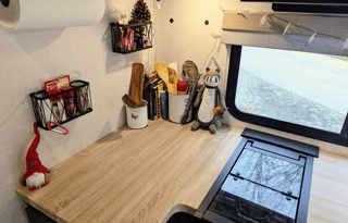 Forest River RPod | Modern, Luxurious & Whimsical