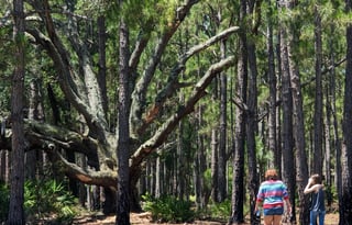 Disney and Beach Ready! 33' Jayco-Bunkhouse Slps 8
