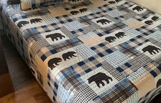 2017 Forest River RV Salem Cruise Lite 191RDXL