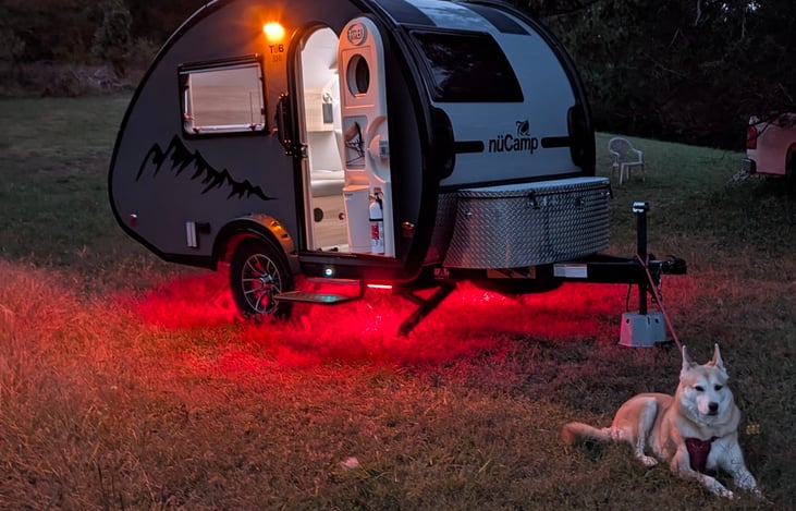 Luna enjoying the evening.