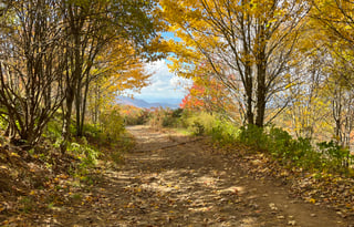 Windwalker - Calling all Captains!