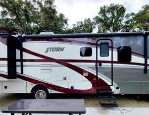 Fleetwood RV Storm 32V